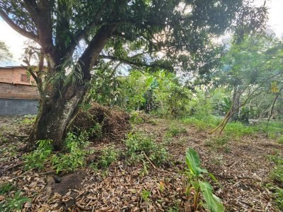 Terreno na Rua Estela Cadente, Estrada da Balsa