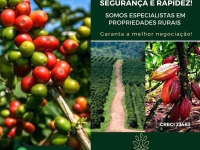 Compra e Venda de Fazendas Produtivas – Brasil