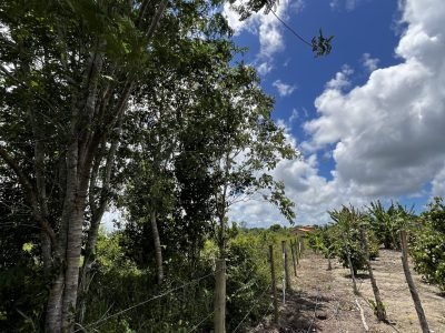 Terreno a 20 minutos do centro de Arraial D’Ajuda Ba