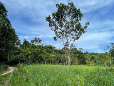 Área Loteamento Trancoso – Próx Rodovia Arraial