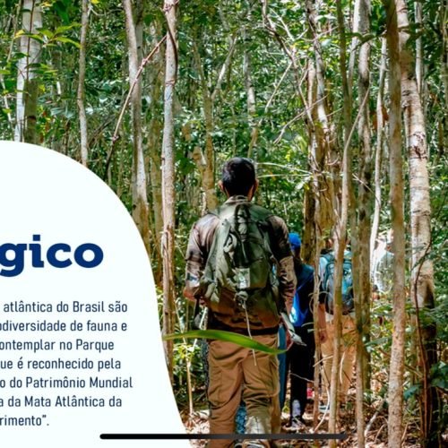 3365c8b6-0733-48c0-9ef2-c177e8bf98f9