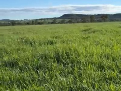 Fazenda em Ponte Alta do Tocantins – TO