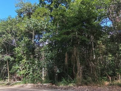 Terreno – Trac Trac – Arraial D´ajuda – Doc ok