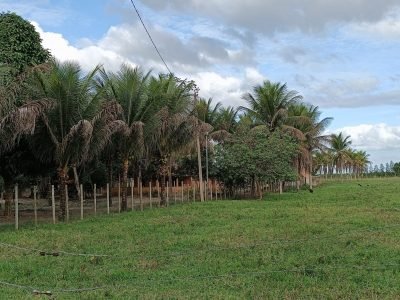 Sítio Completo com Casa/Curral/Pasto 30 min de Arraial D´ajuda