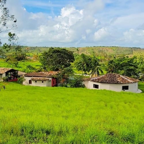 5f9a8484-42af-42ea-ac53-1778cdc114b5