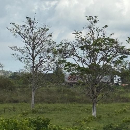 6011d5f8-194f-4225-aa56-fc8529257325
