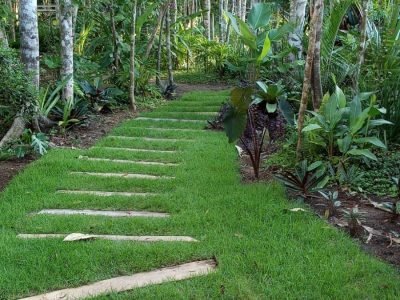 Casa em Trancoso – Em Meio a Mata