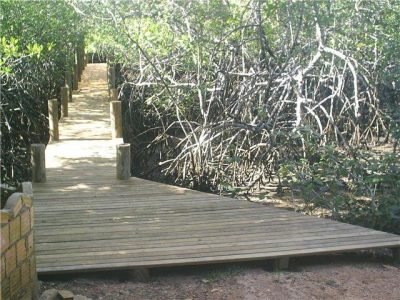 Terreno – Sítio Caraíva