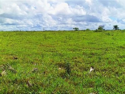 Fazenda de 76 ha – Vale Verde – Arraial D´ajuda