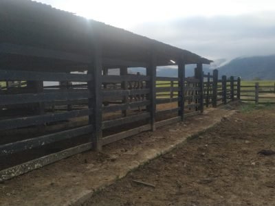 Imagem do WhatsApp de 2025-09-01 à(s) 05.50.53_8855322f