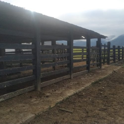 Imagem do WhatsApp de 2025-09-01 à(s) 05.50.53_8855322f