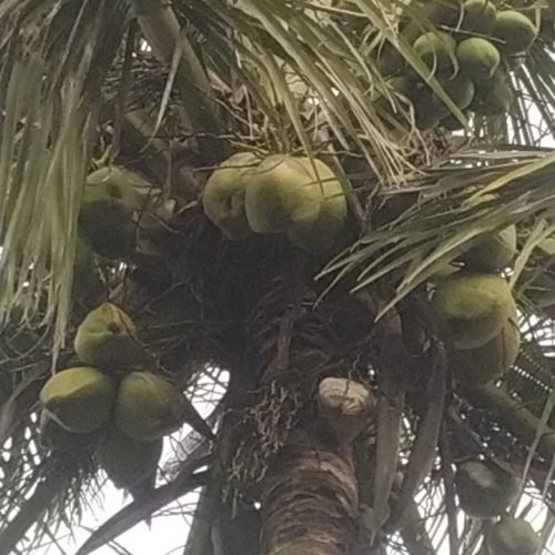 Imagem do WhatsApp de 2025-09-01 à(s) 05.50.53_ab0a47eb