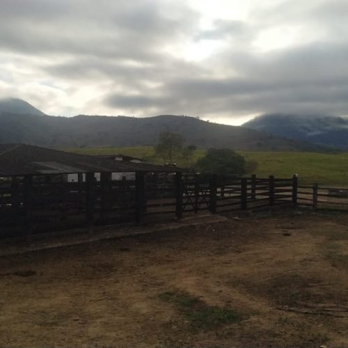 Imagem do WhatsApp de 2025-09-01 à(s) 05.50.54_5a7b2507