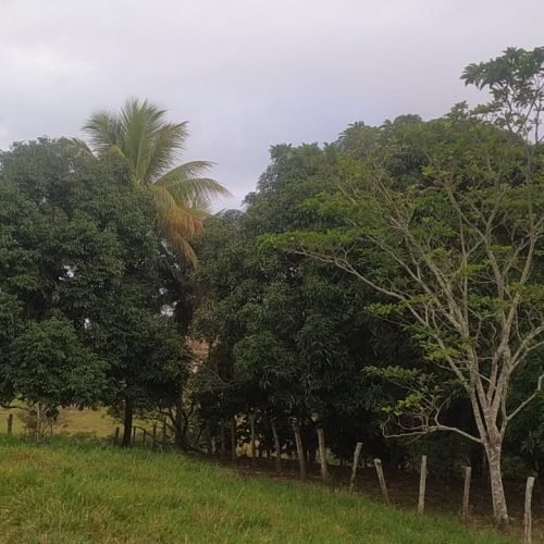 Imagem do WhatsApp de 2025-09-01 à(s) 05.50.54_f4a47dfb