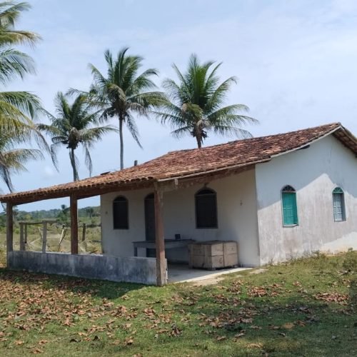 Imagem do WhatsApp de 2025-09-01 à(s) 05.52.59_4db42d56