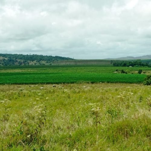 Imagem do WhatsApp de 2025-09-24 à(s) 07.56.58_45aed682