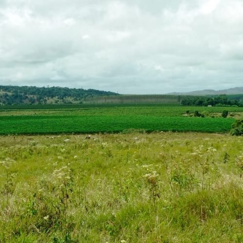 Imagem do WhatsApp de 2025-09-24 à(s) 07.56.58_ac323207