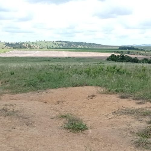 Imagem do WhatsApp de 2025-09-24 à(s) 07.56.58_c5a30b0d