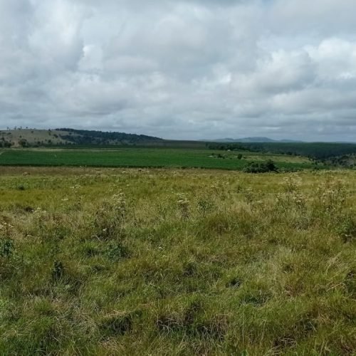 Imagem do WhatsApp de 2025-09-24 à(s) 07.56.59_3926bddd