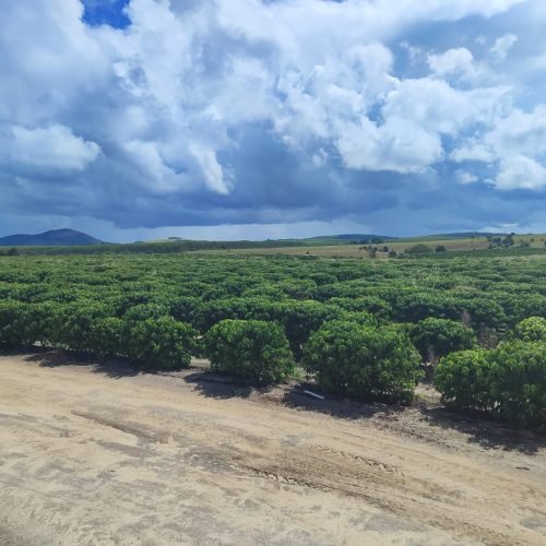 Imagem do WhatsApp de 2025-09-24 à(s) 07.56.59_58f1a256