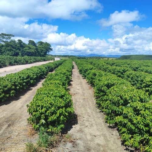 Imagem do WhatsApp de 2025-09-24 à(s) 07.56.59_7156c4db