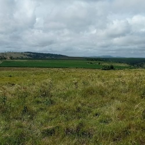 Imagem do WhatsApp de 2025-09-24 à(s) 07.56.59_9ed94dbb