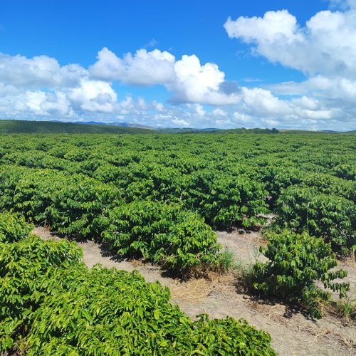 Imagem do WhatsApp de 2025-09-24 à(s) 07.57.00_b841653f