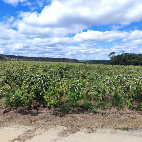 Imagem do WhatsApp de 2025-09-24 à(s) 07.58.13_42a5e5e5