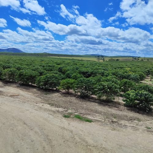 Imagem do WhatsApp de 2025-09-24 à(s) 07.58.13_4ebb574f