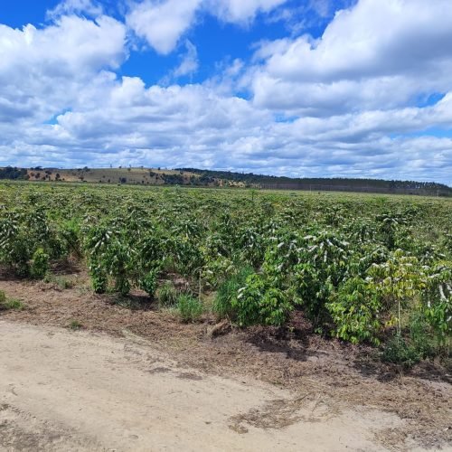 Imagem do WhatsApp de 2025-09-24 à(s) 07.58.13_5f3a3f69