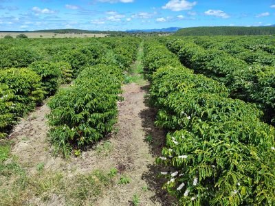 Imagem do WhatsApp de 2025-09-24 à(s) 07.58.14_47bbb76f