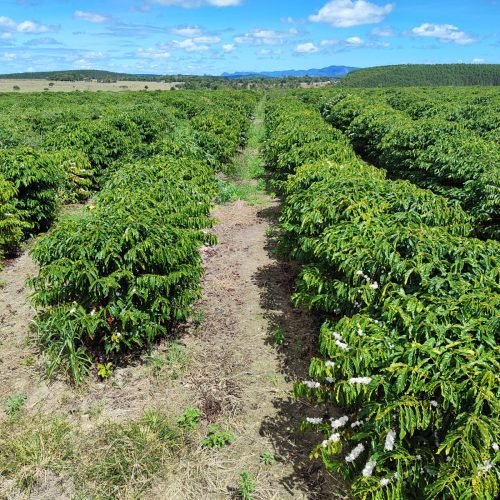 Imagem do WhatsApp de 2025-09-24 à(s) 07.58.14_47bbb76f