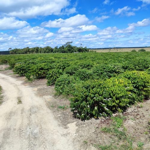 Imagem do WhatsApp de 2025-09-24 à(s) 07.58.14_731b0897