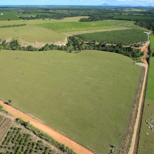 Imagem do WhatsApp de 2025-09-24 à(s) 08.09.07_627b86d0