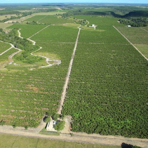 Imagem do WhatsApp de 2025-09-24 à(s) 08.09.07_f00a5ed3