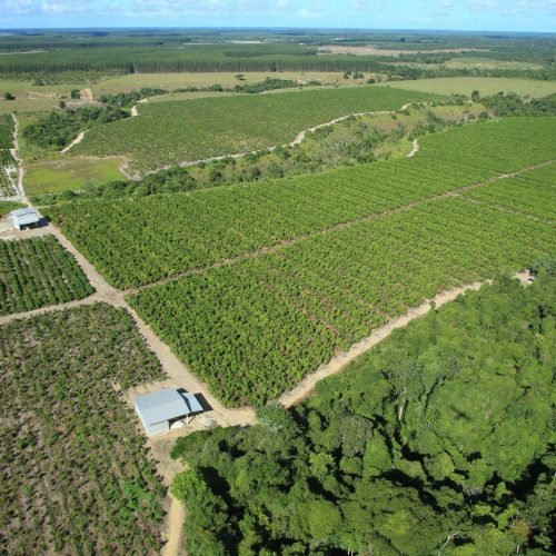 Imagem do WhatsApp de 2025-09-24 à(s) 08.09.08_6edf2ca4