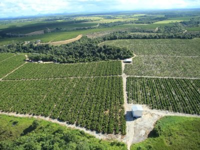 Imagem do WhatsApp de 2025-09-24 à(s) 08.09.08_95151c31