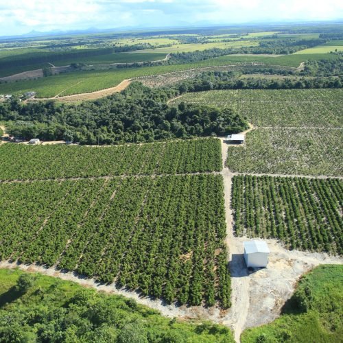 Imagem do WhatsApp de 2025-09-24 à(s) 08.09.08_95151c31