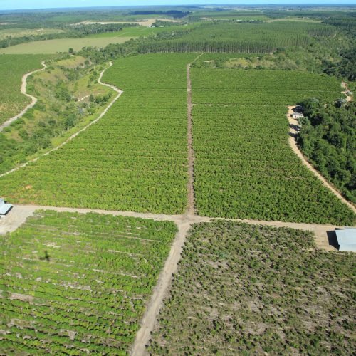 Imagem do WhatsApp de 2025-09-24 à(s) 08.09.08_e1609fcb