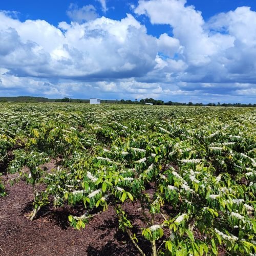 Imagem do WhatsApp de 2025-09-24 à(s) 08.10.16_a893a561