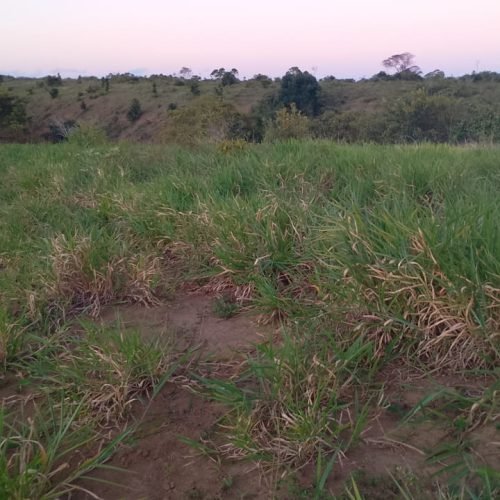 Imagem do WhatsApp de 2025-10-03 à(s) 05.55.02_6532ad60
