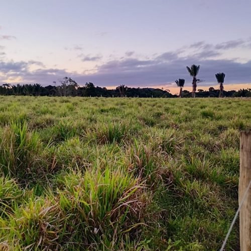 Imagem do WhatsApp de 2025-10-03 à(s) 05.55.03_b84a518d