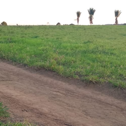 Imagem do WhatsApp de 2025-10-03 à(s) 05.55.04_768a071b