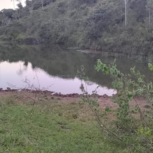 Imagem do WhatsApp de 2025-10-03 à(s) 05.55.04_7feb1b4c