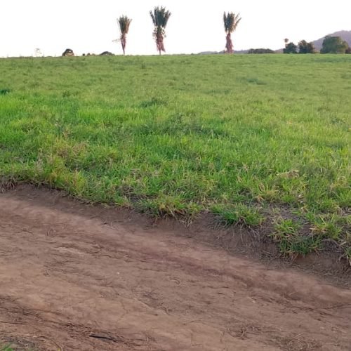 Imagem do WhatsApp de 2025-10-03 à(s) 05.55.05_e10e19f6