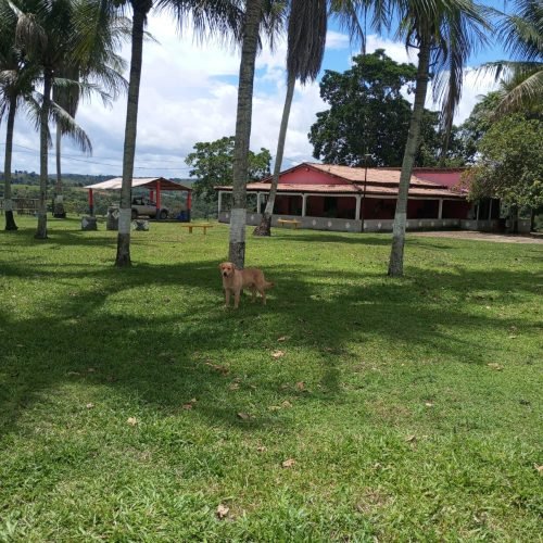 Imagem do WhatsApp de 2025-10-03 à(s) 15.54.40_a56f9ce6