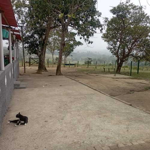 Imagem do WhatsApp de 2025-10-03 à(s) 15.54.40_f9017c2b