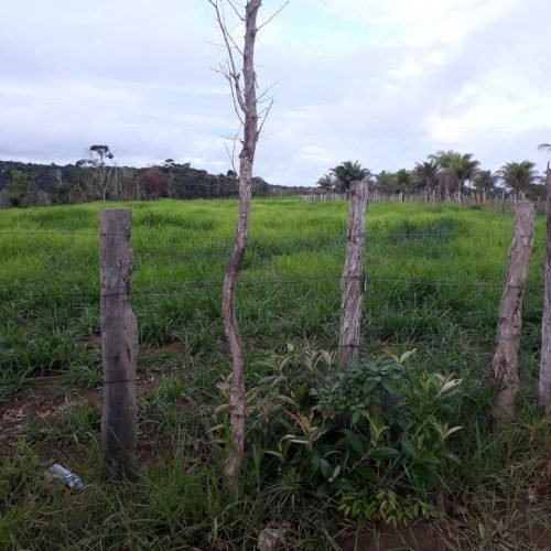Imagem do WhatsApp de 2025-10-13 à(s) 13.25.35_5b990dd2