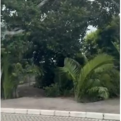 Imagem do WhatsApp de 2025-11-18 à(s) 10.44.31_49347afa