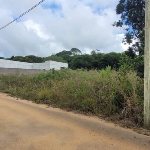 Imagem do WhatsApp de 2025-12-03 à(s) 17.28.19_19ed405f